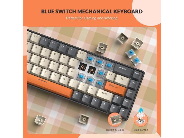 ZIYOU LANG RK-T8 Wired 65% Mechanical Gaming Keyboard with RGB LED Backlit Anti-ghosting TKL Mini 68 Key Custom Coiled C to A Cable Tactile Blue...