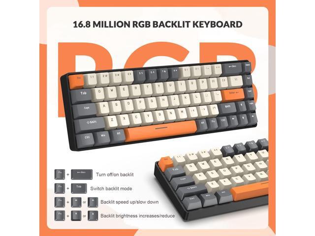 ZIYOU LANG RK-T8 Wired 65% Mechanical Gaming Keyboard with RGB LED Backlit Anti-ghosting TKL Mini 68 Key Custom Coiled C to A Cable Tactile Blue...