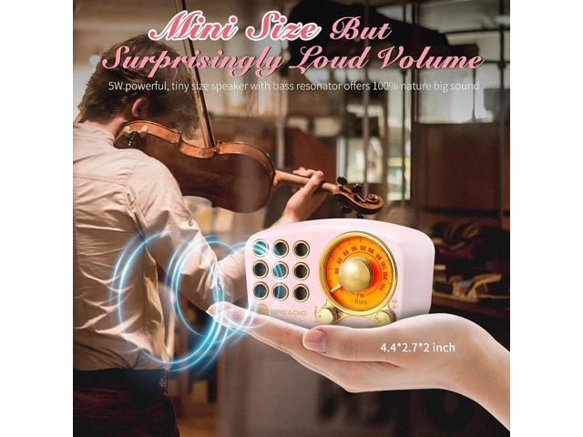 Retro Bluetooth Speaker, Vintage Radio-Greadio FM Radio with Old Fashioned Classic Style, Strong Bass Enhancement, Loud Volume, Bluetooth 5.0...