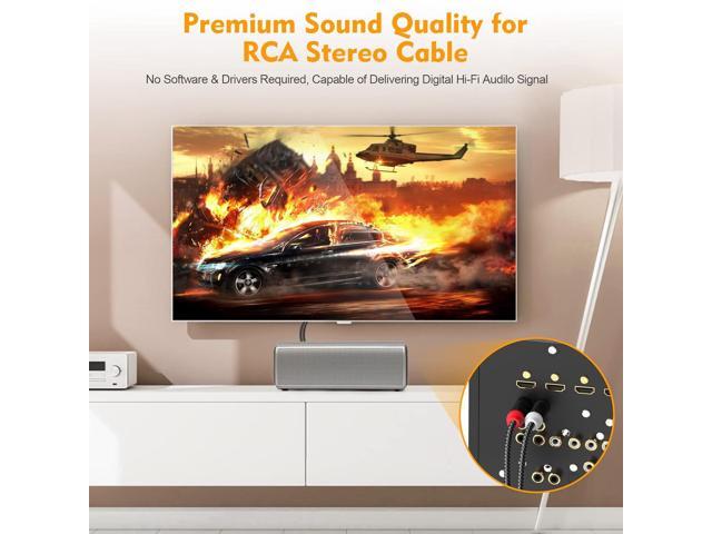 HOSONGIN RCA Cables 3.3ft 2 Pack[Hi-Fi Sound, Nylon Braided, Shielded], 2-Male to 2-Male RCA Audio Stereo Subwoofer Cable Auxiliary Cord for Home...