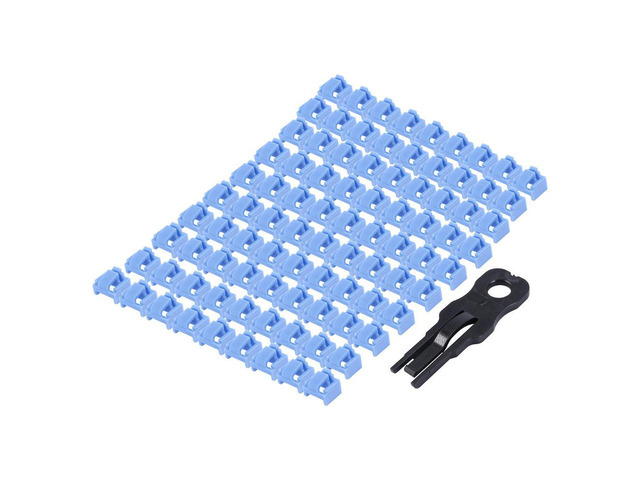100 Pcs Blue RJ45 Port Ethernet LAN Hub Anti Dust Cover Plug Cap Blockout Protector with Proprietary Lock and Key