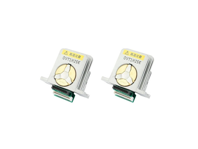 Ruth's sister 2X Needle Type Print Head For Epson LQ-1600KIIIH, 590K, 595K And LQ-2090