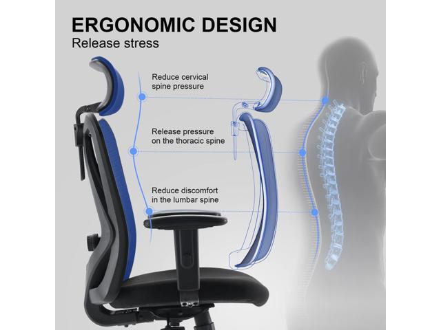 XUER Ergonomic Office Chair, Mesh Computer Desk Chair with Adjustable Sponge Lumbar Support, Thick Cushion, PU Armrest and Headrest, High Back...