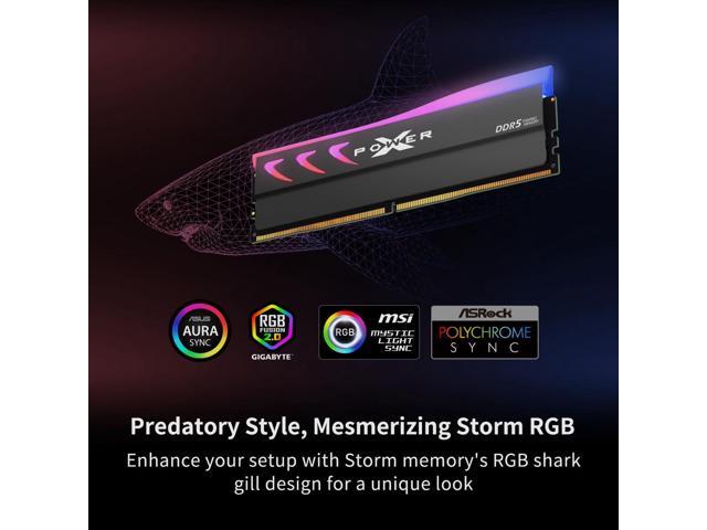 Silicon Power DDR5 32GB (2x16GB) Storm RGB 6000MT/s (PC5-48000) 288-pin CL36 1.35V UDIMM Desktop Memory Module RAM SP032GXLWU60FFDK Gray