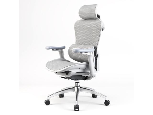 SIHOO Doro-C300 Ergonomic Office Chair-4 Positions Adjustable Backrest, 3 Positions Adjustment Recline, 3D Armrests, Computer Chair with...
