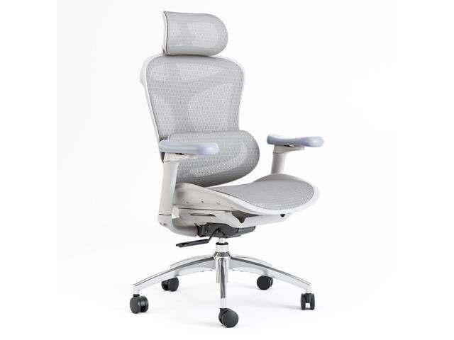 SIHOO Doro-C300 Ergonomic Office Chair-4 Positions Adjustable Backrest, 3 Positions Adjustment Recline, 3D Armrests, Computer Chair with...