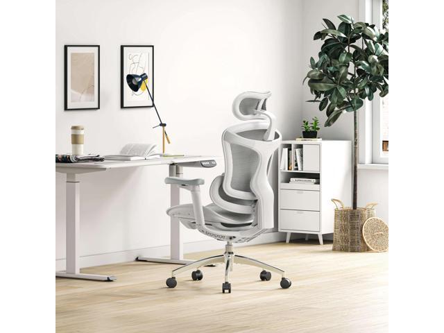 SIHOO Doro-C300 Ergonomic Office Chair-4 Positions Adjustable Backrest, 3 Positions Adjustment Recline, 3D Armrests, Computer Chair with...