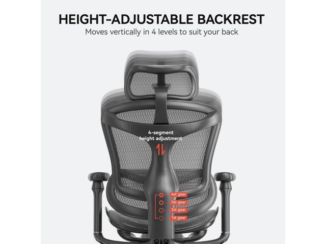 SIHOO Doro-C300 Ergonomic Office Chair-4 Positions Adjustable Backrest, 3 Positions Adjustment Recline, 3D Armrests, Computer Chair with...