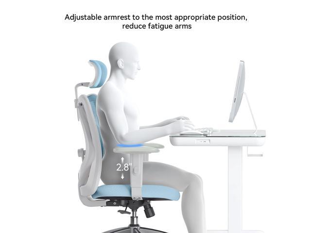 SIHOO High-Back Mesh Office Chair with Lumbar Support, Ergonomic Chair for Desk, Breathable Mesh Adjustable Headrests for Home Office, Blue