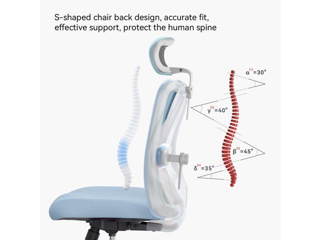 SIHOO High-Back Mesh Office Chair with Lumbar Support, Ergonomic Chair for Desk, Breathable Mesh Adjustable Headrests for Home Office, Blue