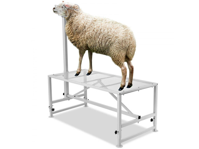Goat & Sheep Stand, 51x23 inch Livestock Stand, Metal Livestock Milking and Shearing Stand 21' to 33' Adjustable Height, with Headpiece and Nose...