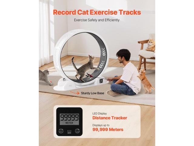 VEVOR Cat Exercise Wheel with Pedometer 40.8' Cat Treadmill for Pet Health White