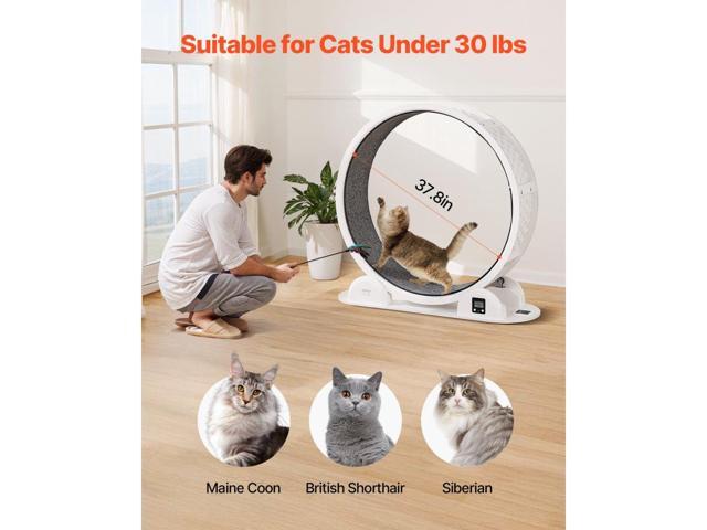 VEVOR Cat Exercise Wheel with Pedometer 40.8' Cat Treadmill for Pet Health White