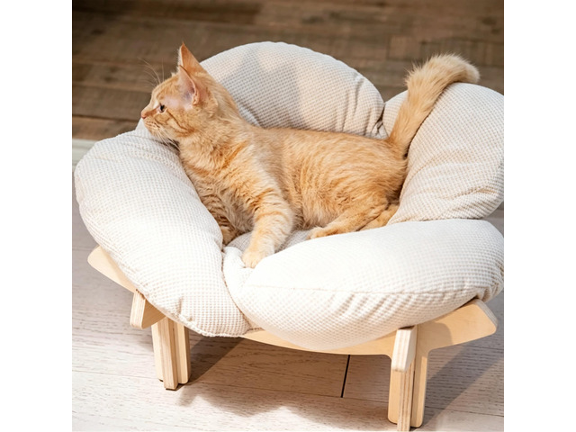 Minimalist Wooden Cat Bed with Stand, Sturdy Elevated Cat Furniture Frame, Breathable Comfortable Indoor Cat Sleeping Perch