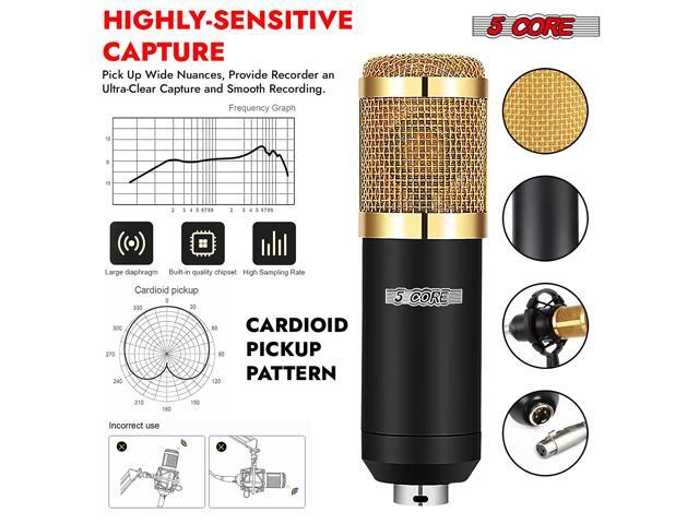 5 Core Recording Microphone Podcast Bundle Professional Condenser Cardioid Mic Kit w Boom Arm RM 8 BG