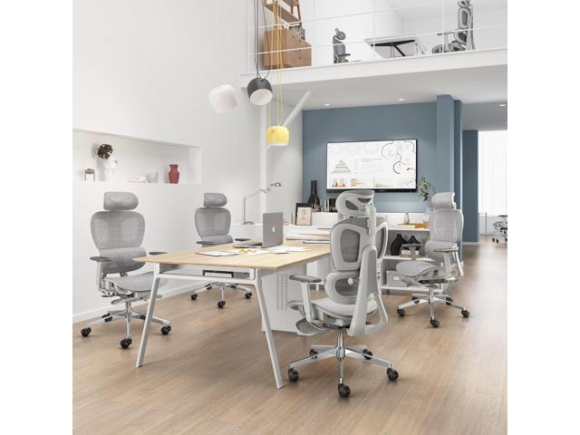 Ergonomic Mesh Office Chair with 3D Adjustable Armrest,High Back Desk Computer Chair Ergo3d Ergonomic with Wheels for Home & Office