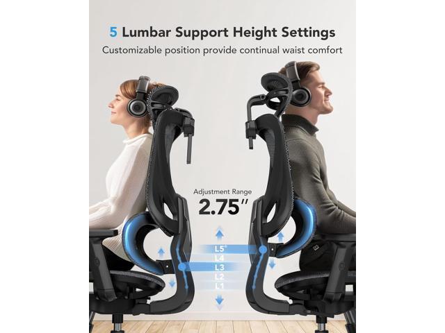 HUANUO Ergonomic Mesh Office Chair with 5-Level Lumbar Support, Computer Chair with Adjustable Headrest & Armrests, Rocking Tilt, Comfortable High...