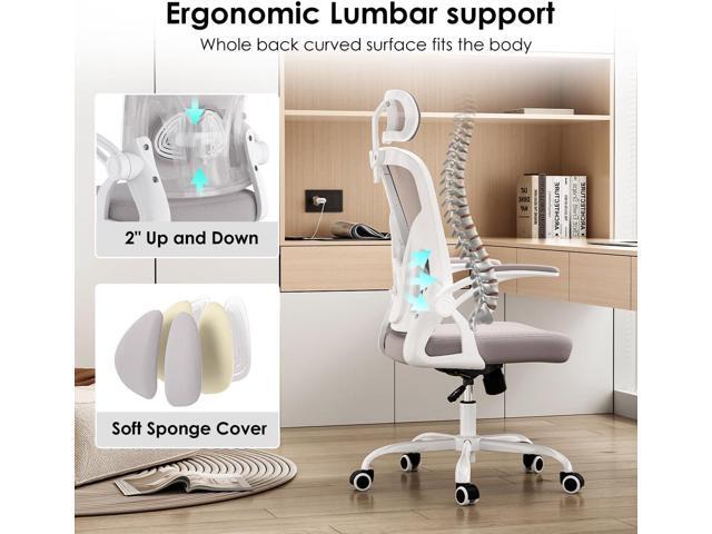 Farini Ergonomic Office Chair, Home Office Desk Chair with Headrest, High Back Computer Chair with Armrests and Adjustable Lumbar Support for Home...