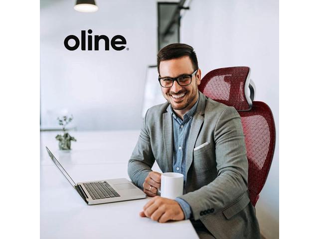 Oline ErgoPro Ergonomic Office Chair - Rolling Desk Chair with 4D Adjustable Armrest, 3D Lumbar Support and Blade Wheels - Mesh Computer Chair,...