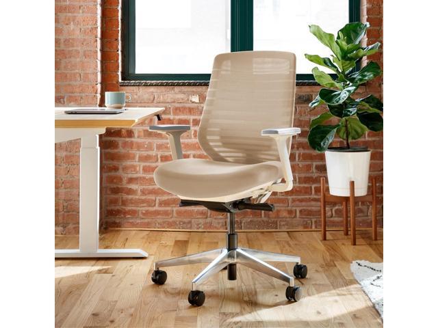 Branch Ergonomic Chair - A Versatile Desk Chair with Adjustable Lumbar Support, Breathable Mesh Backrest, and Smooth Wheels - Experience Optimal...