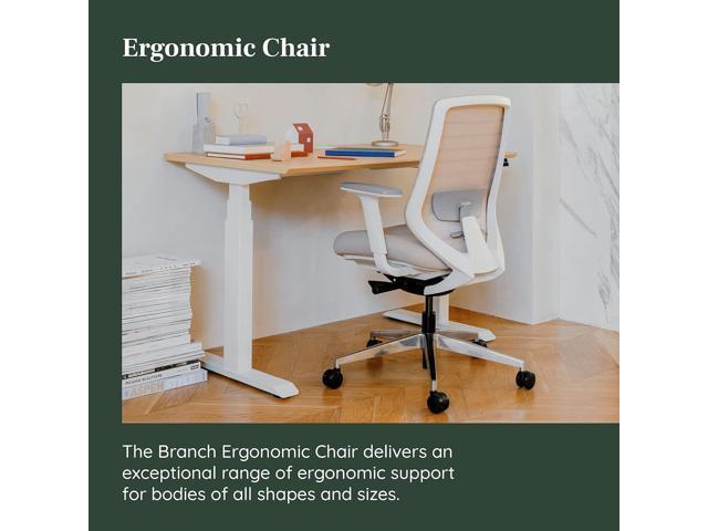 Branch Ergonomic Chair - A Versatile Desk Chair with Adjustable Lumbar Support, Breathable Mesh Backrest, and Smooth Wheels - Experience Optimal...