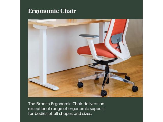 Branch Ergonomic Chair - A Versatile Desk Chair with Adjustable Lumbar Support, Breathable Mesh Backrest, and Smooth Wheels - Experience Optimal...