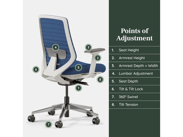 Branch Ergonomic Chair - A Versatile Desk Chair with Adjustable Lumbar Support, Breathable Mesh Backrest, and Smooth Wheels - Experience Optimal...