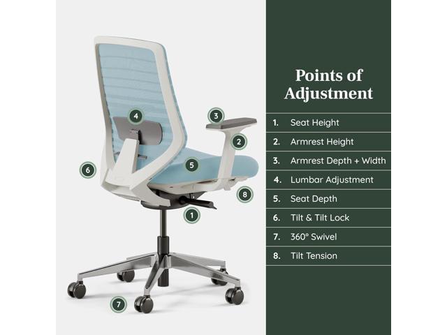 Branch Ergonomic Chair - A Versatile Desk Chair with Adjustable Lumbar Support, Breathable Mesh Backrest, and Smooth Wheels - Experience Optimal...
