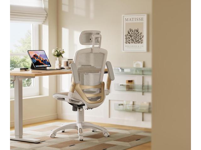 GABRYLLY Ergonomic Office Chair, High Back Home Desk Chair with Headrest, Flip-Up Arms, 90-120° Tilt Lock and Wide Cushion, Big and Tall Mesh...