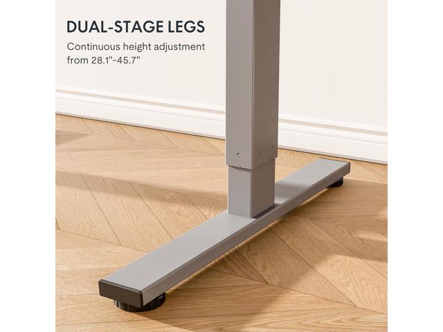 FLEXISPOT EN1 One-Piece Adjustable Desk 40 x 24 Inches Stand Up Desk Electric Height Adjustable Standing Desk with Seamless Desktop (Silver Frame +...