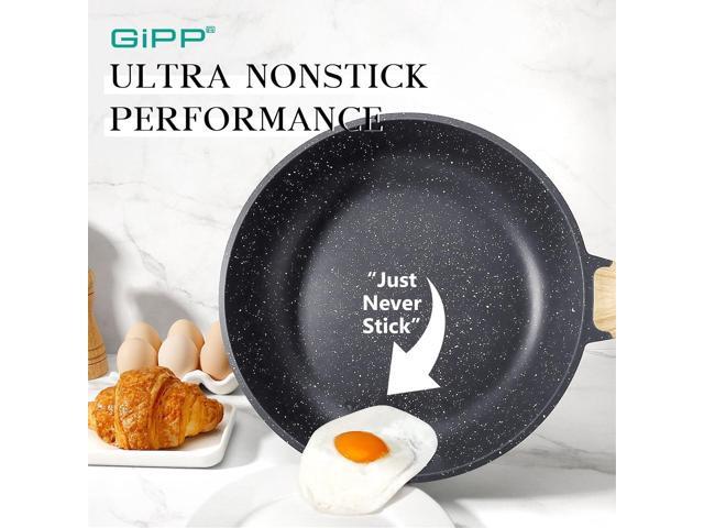 GiPP Nonstick Frying Pan Skillet with Lid - 9.5' Grey Granite Non Stick Pans, Omelette Pan with Heat-Resistant Handle, Compatible with All...