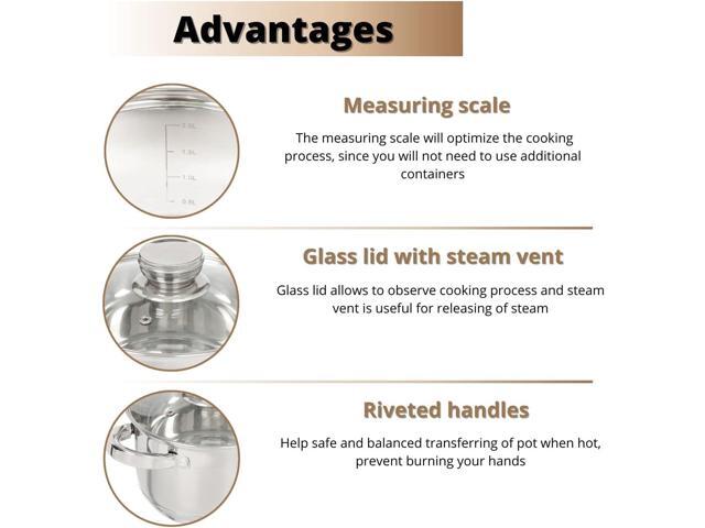 Daniks Standard 9-Piece Stainless Steel Induction Cookware Set, Dishwasher Safe Pots and Saucepan, Measuring Scale, Glass Lids, For Soup, Pasta,...