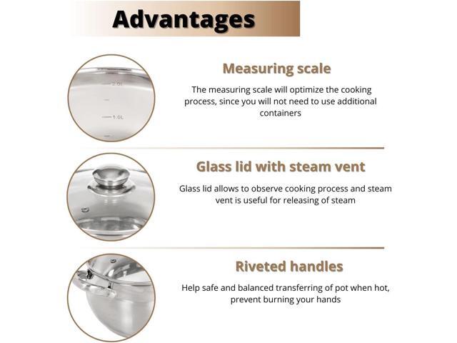 Daniks Classic 6-Piece Stainless Steel Induction Cookware Set Dishwasher Safe Pots with Lids, Measuring Scale, Silver
