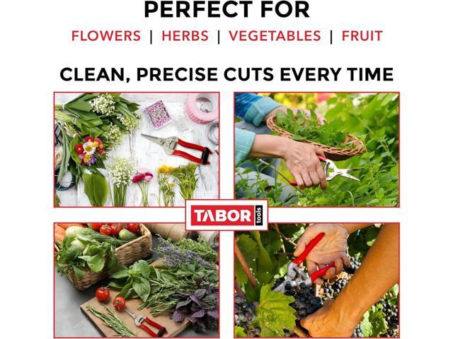 TABOR TOOLS Pruning Shears, Florist Scissors, Multi-Tasking Garden Snips for Arranging Flowers, Trimming Plants and Harvesting Herbs, Fruits or...