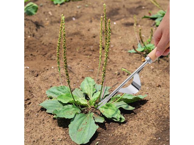 Gardening Hand Weeder Tools, 6 Teeth Uprooting Weeding Tool Multifunctional Manual Hand Weeder for Lawn Garden, Crack Weeder Crevice Weeding Tool,...
