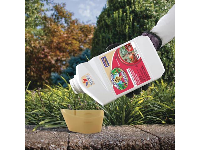 Bonide Captain Jack's Deadbug Brew, 32 oz Concentrate Outdoor Insecticide and Mite Killer for Organic Gardening