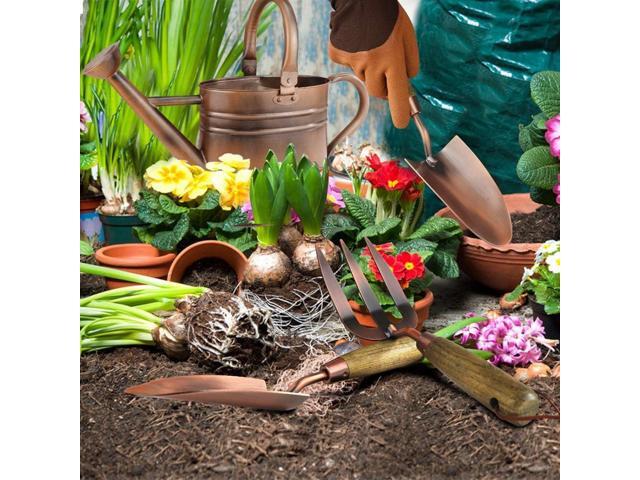 1 Gallon Galvanized Steel Watering Can with 3 Pcs of Garden Tools, 1 Pc of Pruning Shear, 1 Pair of Gardening Gloves1 Pc of Garden Tools Organizer...