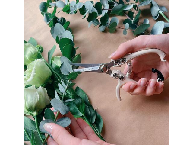 Plant Pruning Shears Garden Trimming Scissors Precision Hand Pruner Herb Snips Flower Clippers Bonsai Trimmers Straight Sharp Blade Tapered Tip...
