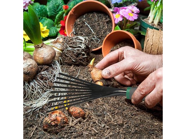 2 Pcs Gardening Hand Rake Stainless Steel Hand Tiller Small Garden Rake for Gardening Short Handle with Handle Garden Tools for Cultivating...