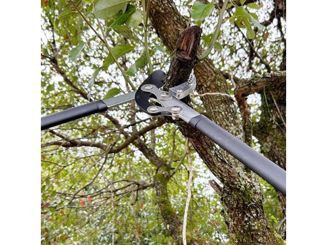 Loppers for Tree Trimming, Heavy Duty Branch Cutter Tree Clippers with Compound Action, Chops Thick Branch Ease, Garden Lopper Pruning, 32 Inch...