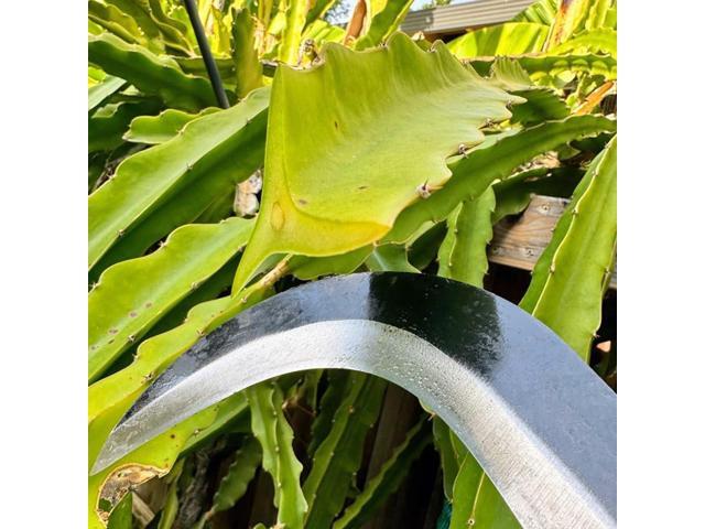 Sickle Garden Tool Machete for Yard Work and Cutting Trees Heavy Duty Machetes Knife Brush Clearing Sickles with Carbon Steel Blade for Grass,...