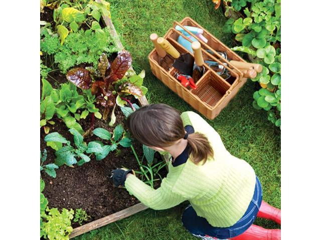 SOLIGT Garden Tools Set with Basket, Heavy Duty Stainless Steel Gardening Hand Tool with Wood Handle, Pruning Shears, Gloves - Perfect Gardening...