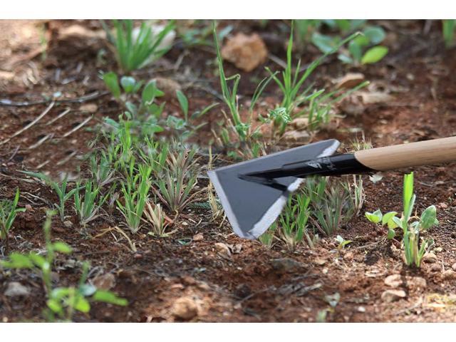 Rogue Scuffle Hoe high Grade Tempered Steel 60-inch Wooden Handle 6 inch Wide Triangle Head Sharp on All 3 Sides Handmade Sturdy Built (1)