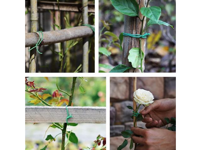 Green Soft Twist Tie Tomato Plant Tie TPR Garden Supply, for Supporting Plants and Home Organizing (65.6 feet/20 Meters)