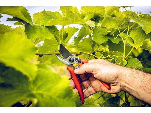 Original LÖWE Bypass Pruner Garden Tools 14.104 Use as Pruners, Hedge Trimmer, Garden Shears, Pruning Shears for Gardening For cutting roses,...