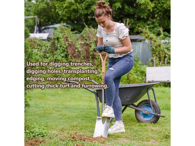 Berry & Bird Garden Digging Spade, 41' Stainless Steel Square Border Spade, Heavy Duty European Shovel with D-Grip Handle, Traditional English Style...