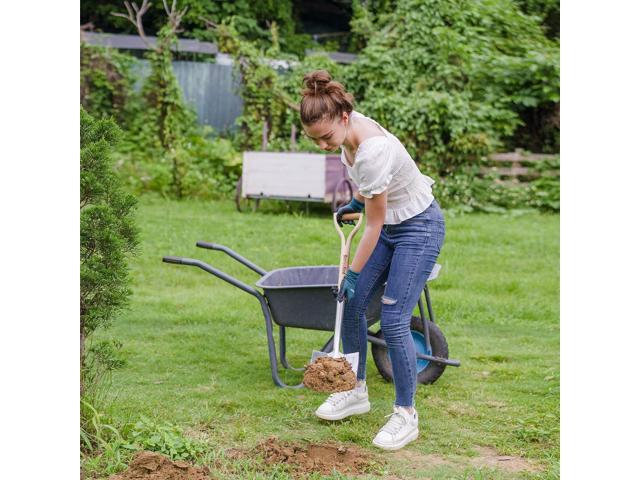 Berry & Bird Garden Digging Spade, 41' Stainless Steel Square Border Spade, Heavy Duty European Shovel with D-Grip Handle, Traditional English Style...