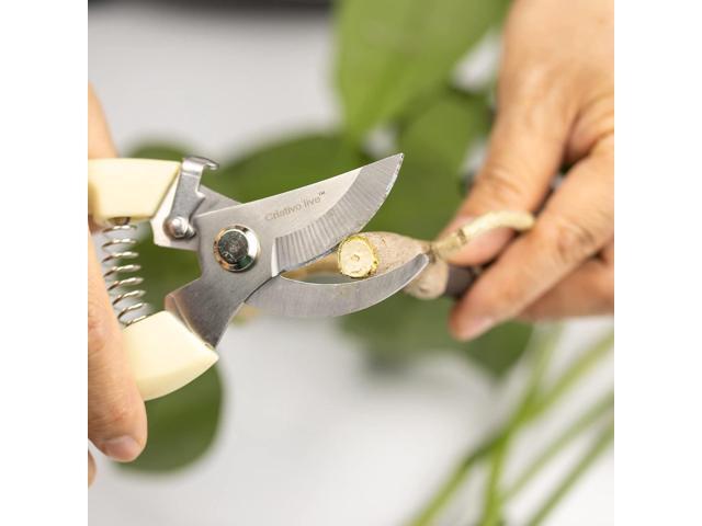 14-Pack Gardening Scissors,Pruning Shear, Florist Scissors for home and gardening