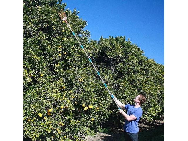 COCONUT Fruit Picker Tool, Fruit Picker with Basket and Pole Easy to Assemble & Use Fruits Catcher Tree Picker for Getting Fruits(5ft)
