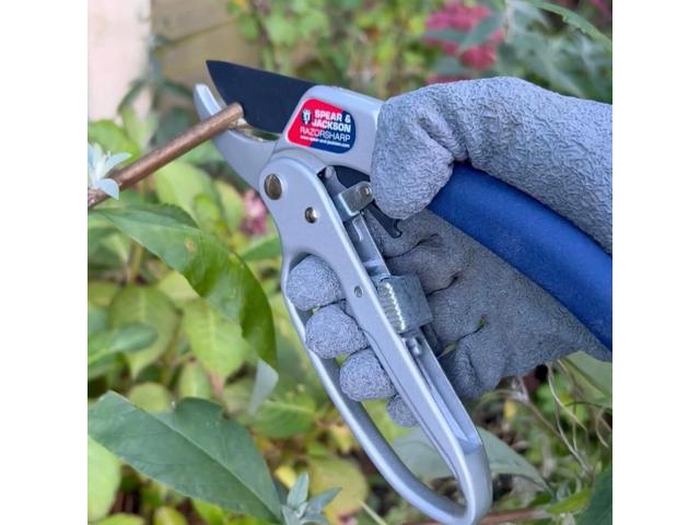Spear & Jackson 6358RS Razorsharp Ratchet Anvil Pruners / Pruning Shears with Loop Handle. Clean & Easy Cutting. Cuts Thick Branches